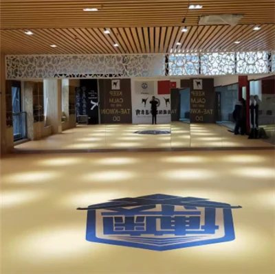 XPE Mat For Boxing Jodo MMA